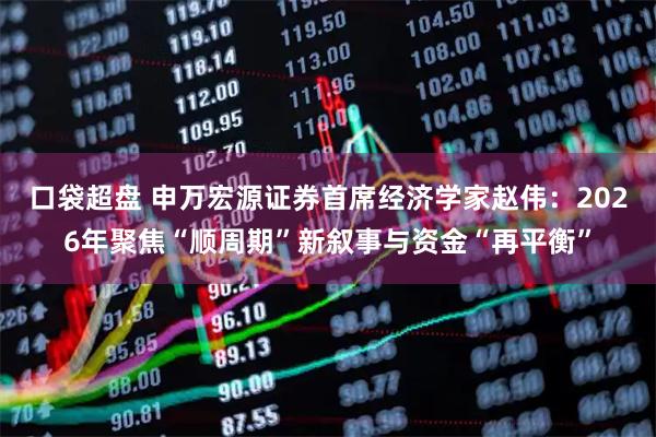 口袋超盘 申万宏源证券首席经济学家赵伟：2026年聚焦“顺周期”新叙事与资金“再平衡”