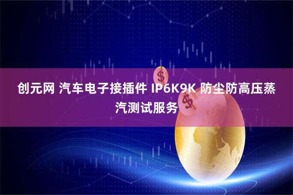 创元网 汽车电子接插件 IP6K9K 防尘防高压蒸汽测试服务