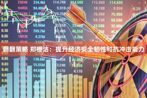翻翻策略 郑栅洁:提升经济安全韧性和抗冲击能力
