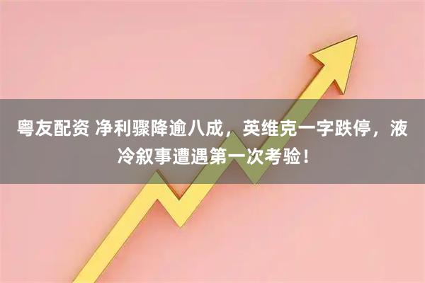 粤友配资 净利骤降逾八成，英维克一字跌停，液冷叙事遭遇第一次考验！