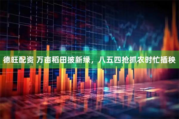 德旺配资 万亩稻田披新绿，八五四抢抓农时忙插秧