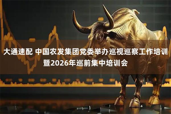 大通速配 中国农发集团党委举办巡视巡察工作培训暨2026年巡前集中培训会