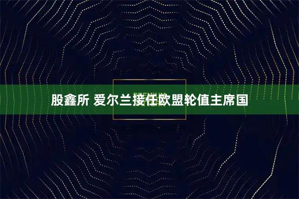 股鑫所 爱尔兰接任欧盟轮值主席国