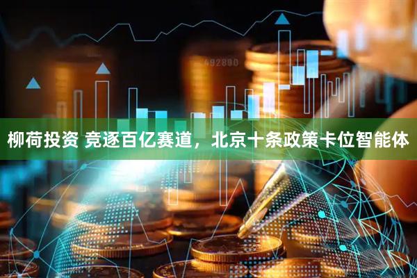 柳荷投资 竞逐百亿赛道，北京十条政策卡位智能体