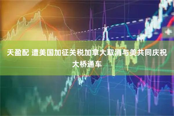 天盈配 遭美国加征关税　加拿大取消与美共同庆祝大桥通车