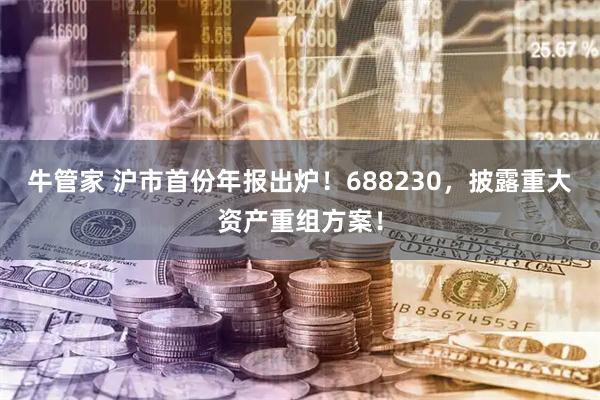 牛管家 沪市首份年报出炉！688230，披露重大资产重组方案！