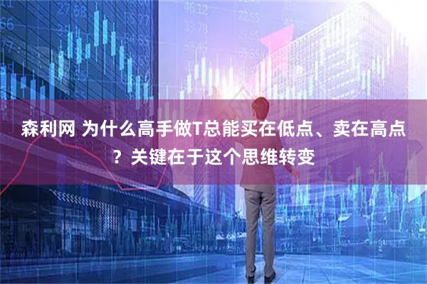 森利网 为什么高手做T总能买在低点、卖在高点？关键在于这个思维转变