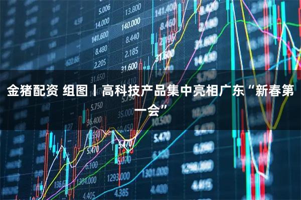 金猪配资 组图丨高科技产品集中亮相广东“新春第一会”