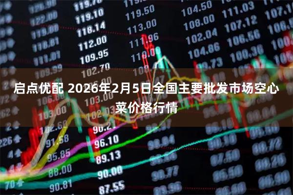 启点优配 2026年2月5日全国主要批发市场空心菜价格行情
