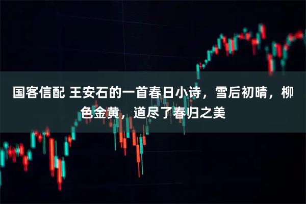 国客信配 王安石的一首春日小诗，雪后初晴，柳色金黄，道尽了春归之美