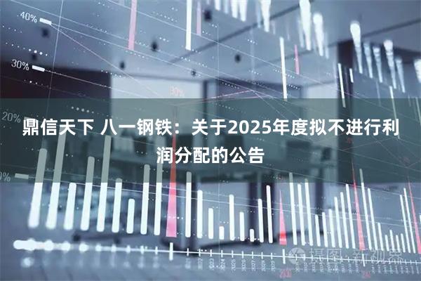 鼎信天下 八一钢铁：关于2025年度拟不进行利润分配的公告