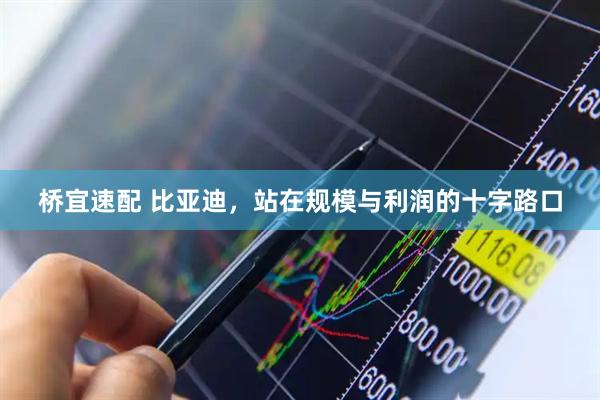 桥宜速配 比亚迪，站在规模与利润的十字路口