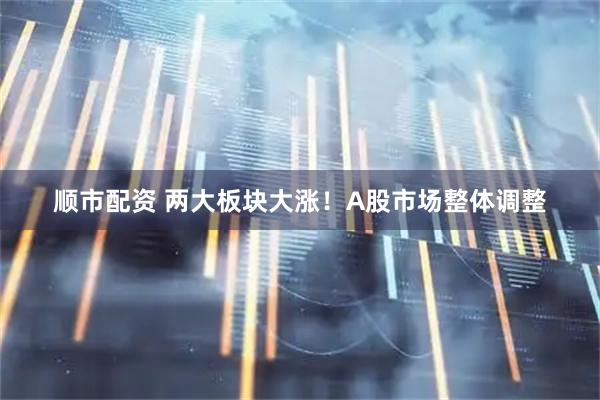顺市配资 两大板块大涨！A股市场整体调整
