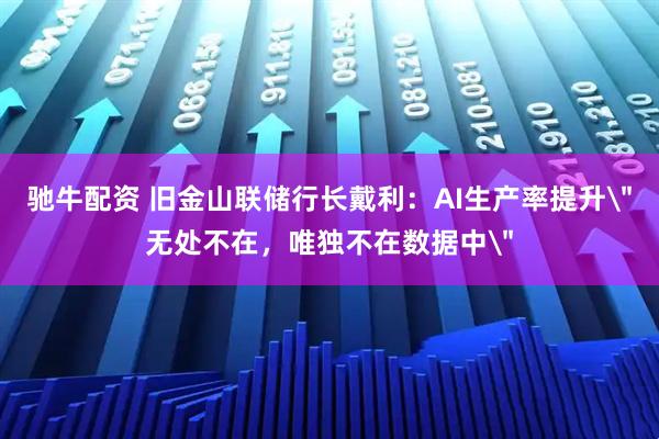 驰牛配资 旧金山联储行长戴利：AI生产率提升