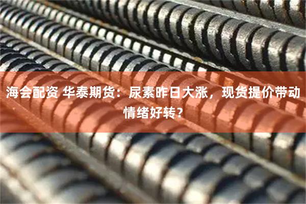 海会配资 华泰期货：尿素昨日大涨，现货提价带动情绪好转？