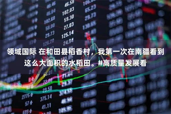 领域国际 在和田县稻香村，我第一次在南疆看到这么大面积的水稻田。#高质量发展看