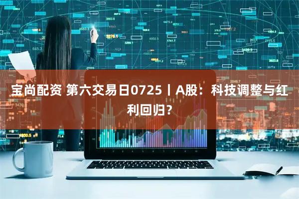 宝尚配资 第六交易日0725丨A股：科技调整与红利回归？