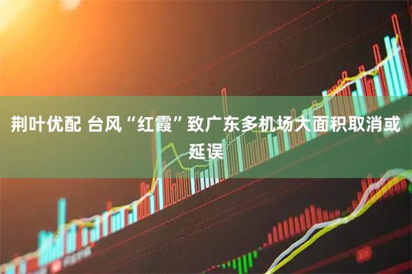 荆叶优配 台风“红霞”致广东多机场大面积取消或延误