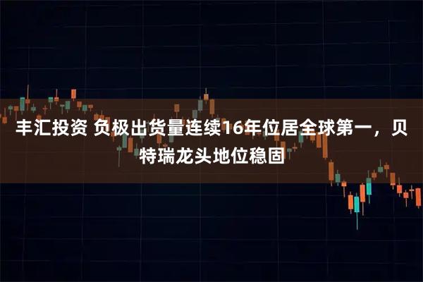 丰汇投资 负极出货量连续16年位居全球第一，贝特瑞龙头地位稳固